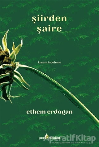 Şiirden Şaire