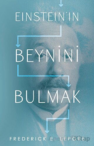 Einsteın ın Beynini Bulmak