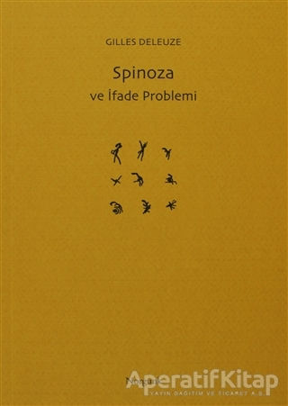 Spinoza ve İfade Problemi