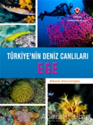 Türkiye nin Deniz Canlıları Akdeniz