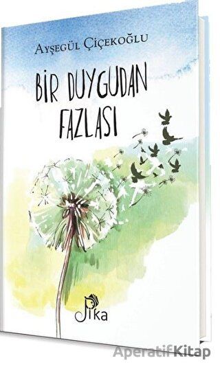 Bir Duygudan Fazlası