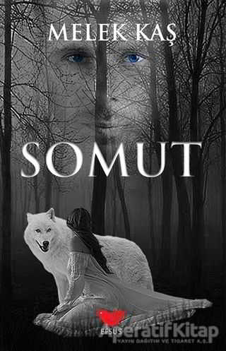 Somut