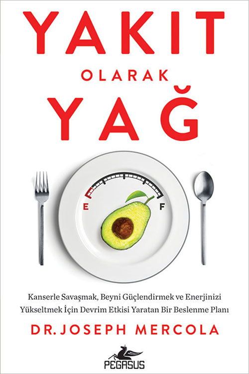 Yakıt Olarak Yağ