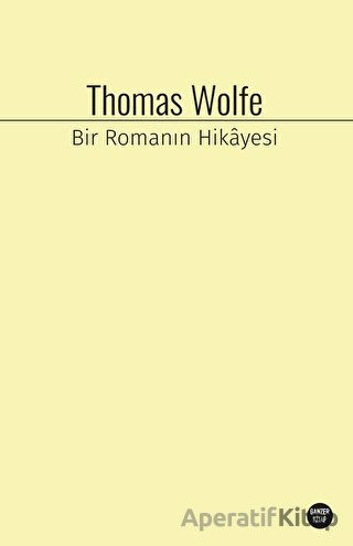 Bir Romanın Hikayesi