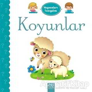 Hayvanları Tanıyalım Koyunlar