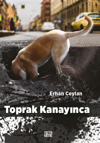 Yaykoop