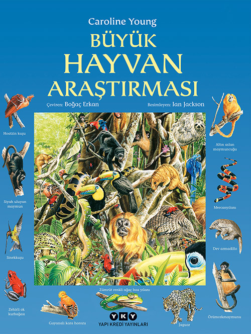 Yapı Kredi Yayınları