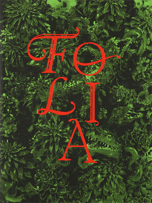 Folia Türkçe İngilizce