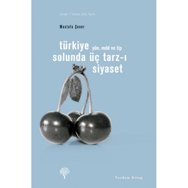 TÜRKİYE SOLUNDA ÜÇ TARZ I SİYASET Yön MDD ve TİP