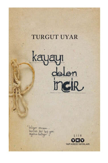 Kayayı Delen İncir