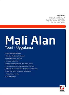 Mali Alan Teori Uygulama
